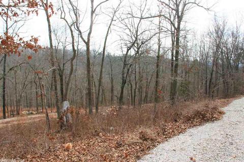 12865 Highway 9, Mountain View, AR 72560 photo 26