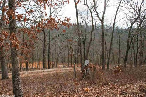 12865 Highway 9, Mountain View, AR 72560 photo 25