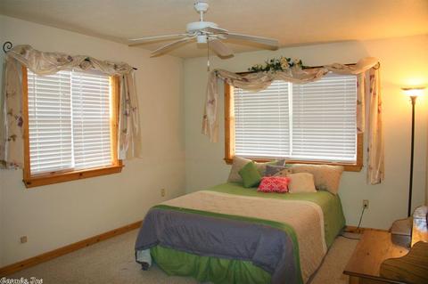 12865 Highway 9, Mountain View, AR 72560 photo 13