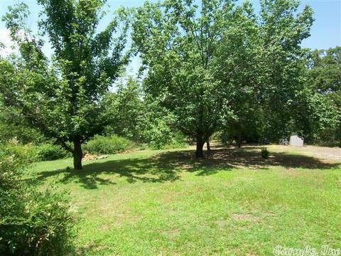 20 Pine Blf, Conway, AR 72034 photo 19