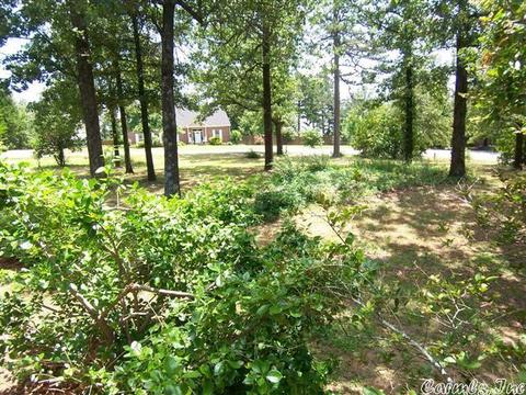 20 Pine Blf, Conway, AR 72034 photo 17