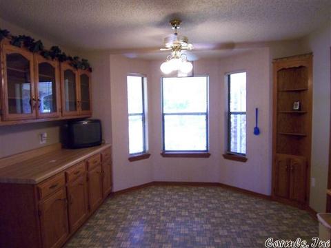 20 Pine Blf, Conway, AR 72034 photo 9
