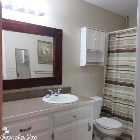 217 Edna Rd, Clinton, AR 72031 photo 12