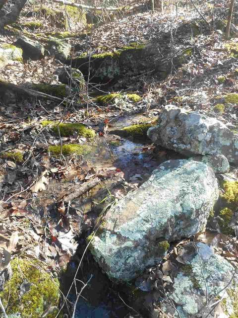 178 Cemetery Rd, Mountain View, AR 72560 photo 35