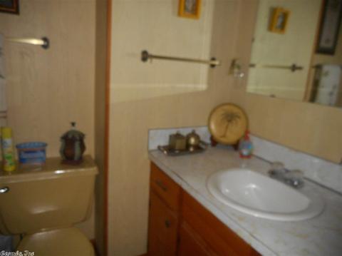 178 Cemetery Rd, Mountain View, AR 72560 photo 13