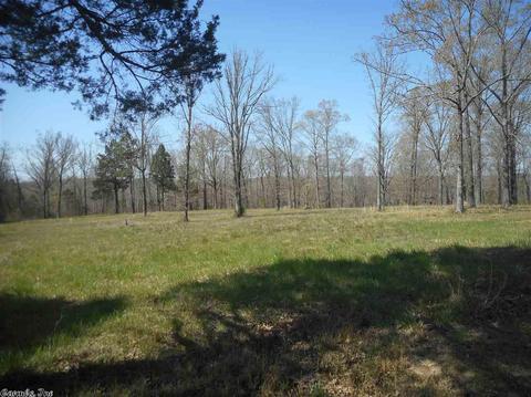 178 Cemetery Rd, Mountain View, AR 72560 photo 26