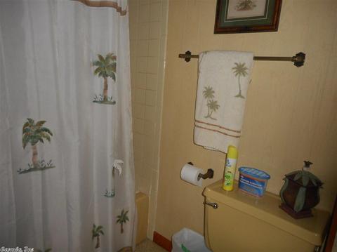 178 Cemetery Rd, Mountain View, AR 72560 photo 14