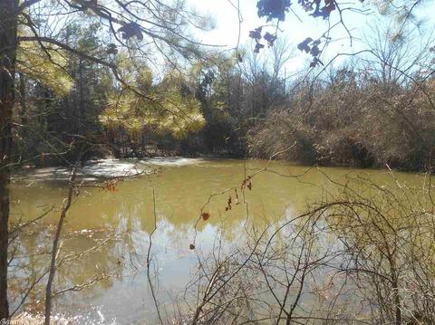 178 Cemetery Rd, Mountain View, AR 72560 photo 38