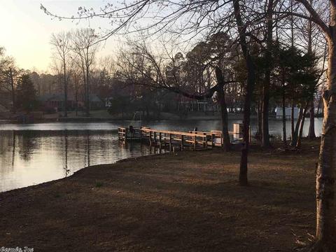 262 Pine Valley Loop, Houston, AR 72070 photo 19