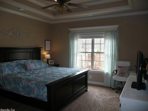 8300 Sapphire Dr, Alexander, AR 72002 photo 19