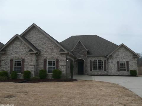 8300 Sapphire Dr, Alexander, AR 72002 photo 1