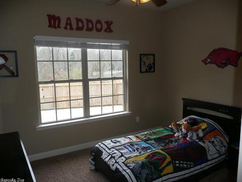 8300 Sapphire Dr, Alexander, AR 72002 photo 27