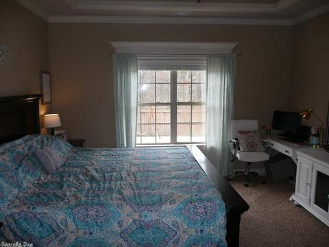 8300 Sapphire Dr, Alexander, AR 72002 photo 20