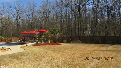 5517 Pacific Cv, Benton, AR 72019 photo 5