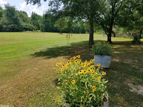 407 E 3rd St, Traskwood, AR 72167 photo 24