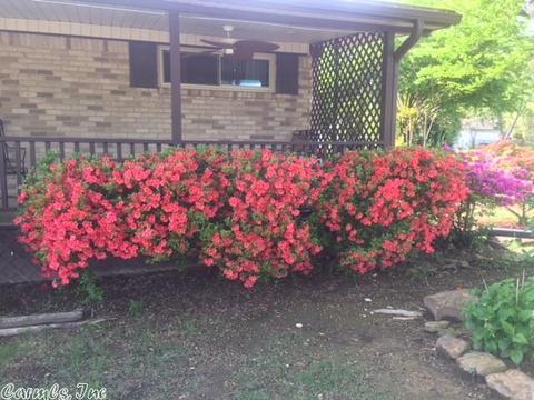 303 N Pecan St, Beebe, AR 72012 photo 35