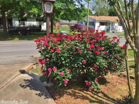 303 N Pecan St, Beebe, AR 72012 photo 40