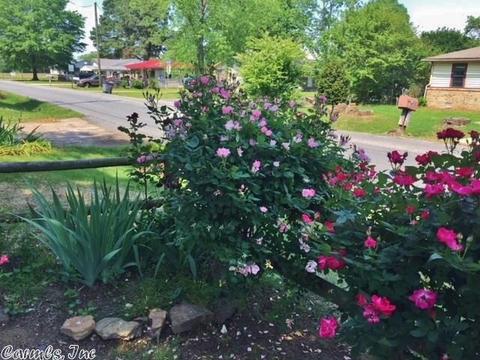 303 N Pecan St, Beebe, AR 72012 photo 37