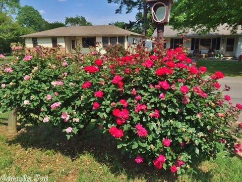 303 N Pecan St, Beebe, AR 72012 photo 31