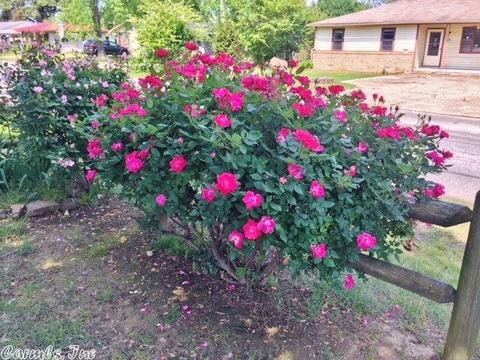 303 N Pecan St, Beebe, AR 72012 photo 33