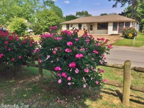 303 N Pecan St, Beebe, AR 72012 photo 32