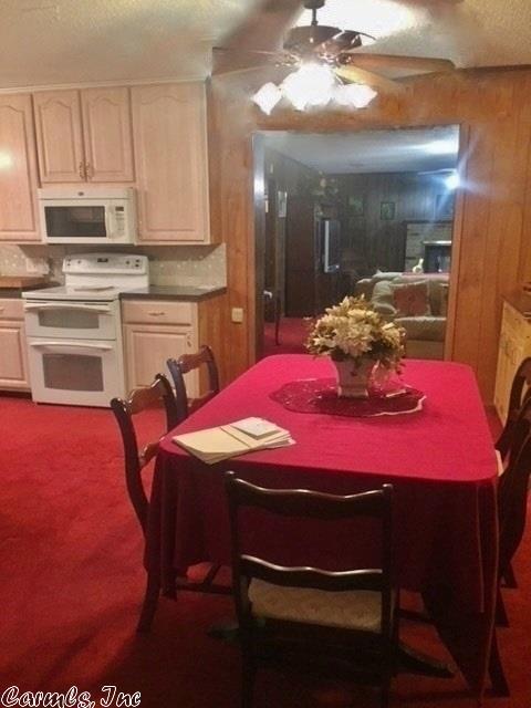 303 N Pecan St, Beebe, AR 72012 photo 13