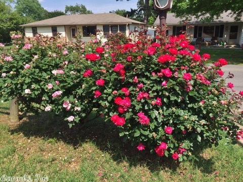 303 N Pecan St, Beebe, AR 72012 photo 30