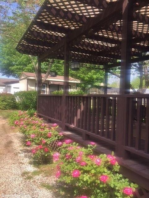 303 N Pecan St, Beebe, AR 72012 photo 26