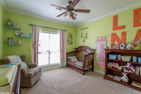 1215 Andy, Conway, AR 72034 photo 10