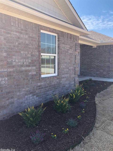 138 Wildflower Dr, Beebe, AR 72012 photo 24