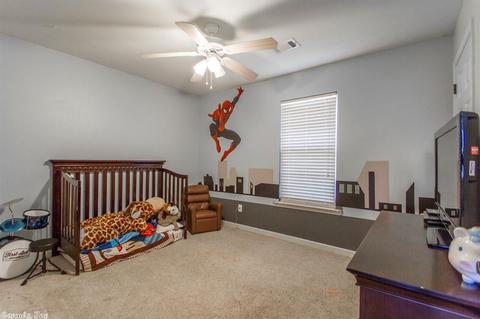 13906 Chrys Cv, Alexander, AR 72002 photo 15
