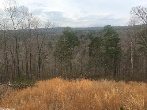 30 Celtic Cir, Edgemont, AR 72044 photo 12