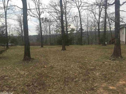 30 Celtic Cir, Edgemont, AR 72044 photo 17