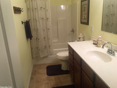30 Celtic Cir, Edgemont, AR 72044 photo 10