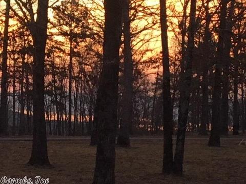 30 Celtic Cir, Edgemont, AR 72044 photo 2