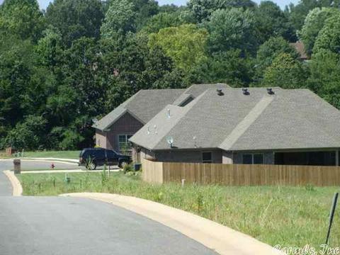 11 Windmill Cv, Searcy, AR 72143 photo 4