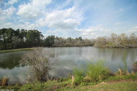 3006 Coldwater Dr, Benton, AR 72019 photo 15