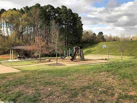 3006 Coldwater Dr, Benton, AR 72019 photo 32