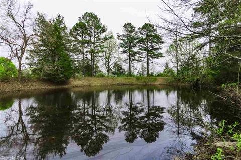 18 Cooper Ln, Conway, AR 72034 photo 6