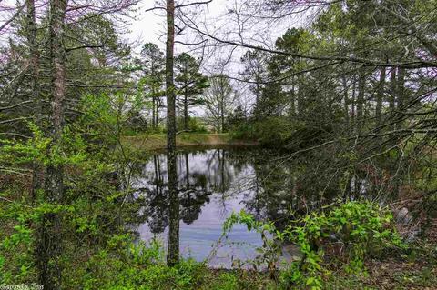 18 Cooper Ln, Conway, AR 72034 photo 7