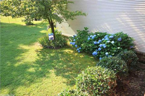 263 Thunderbird Loop, Traskwood, AR 72167 photo 23