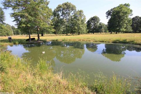263 Thunderbird Loop, Traskwood, AR 72167 photo 39