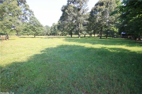 263 Thunderbird Loop, Traskwood, AR 72167 photo 28