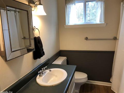 902 Green Tree Rd, Clinton, AR 72031 photo 15