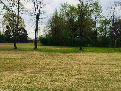 75 Cedar Brook Cv, Austin, AR 72007 photo 5