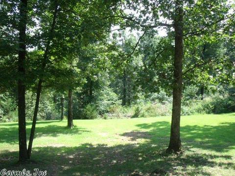 119 Timberland Dr, Gepp, AR 72538 photo 25