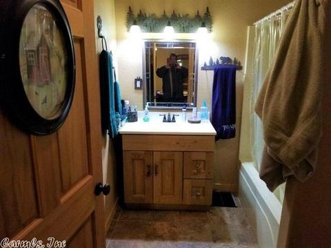 237 Brayden Dr, Mountain View, AR 72560 photo 8