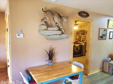 237 Brayden Dr, Mountain View, AR 72560 photo 7