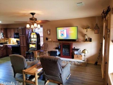 237 Brayden Dr, Mountain View, AR 72560 photo 4