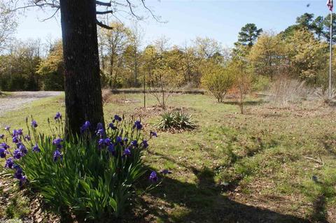 50 Crestview Rd, Conway, AR 72034 photo 25